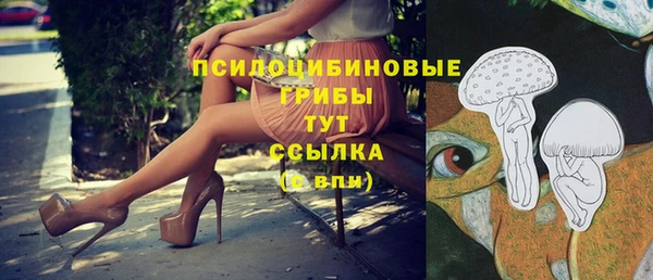 COCAINE Медвежьегорск