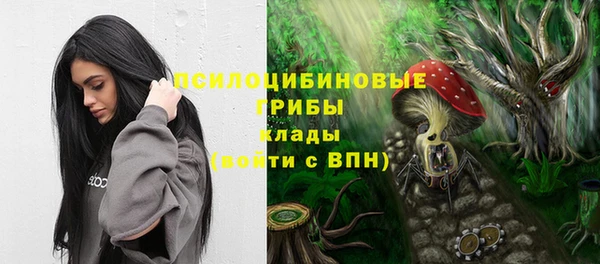 прущий лед Майский
