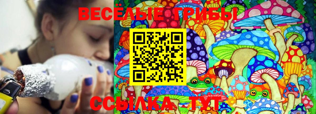 Галлюциногенные грибы GOLDEN TEACHER  Вход с VPN  Грозный  Псилоцибиновые грибы Psilocybe 