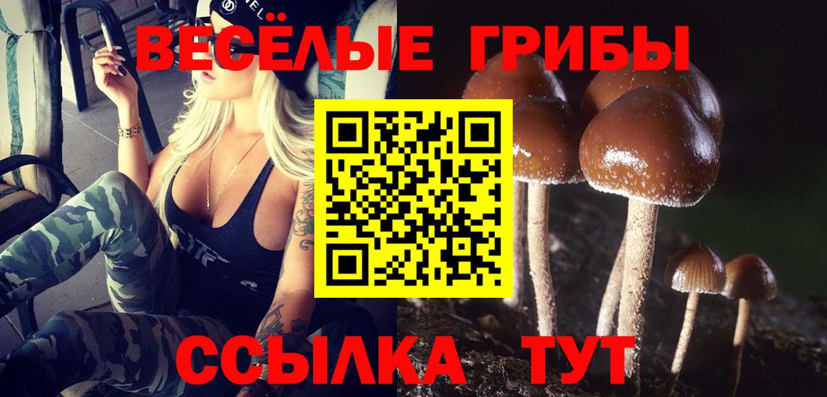 Галлюциногенные грибы мухоморы  Грозный 