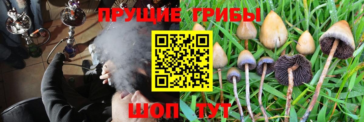 Псилоцибиновые грибы Cubensis Грозный